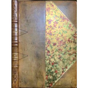 Le Carrosse aux deux lézards verts; Conte de Fées