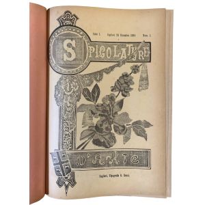 Spigolature d'arte: rivista quindicinale scientifico-artistico-letteraria - unito a:  L'ateneo sardo: rivista quindicinale di lettere, scienze ed arti, a cura e spese del Circolo universitario di Cagliari