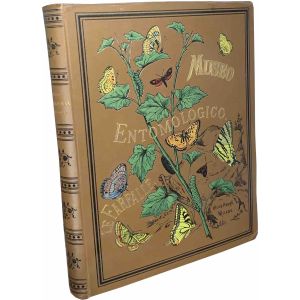 Museo entomologico. Le farfalle: storia naturale, classificazione ed iconografia dei principali lepidotteri d'Italia e dei paesi circonvicini 