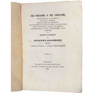Noi possiamo, e noi vogliamo, indipendenza e libertà! Pagare i debiti! Disgravare le imposte! Soccorrere lo sviluppo dell'agricoltura, dell'industria e del commercio! Distribuire lavoro e ricchezze alla nazione : risposte e proposte di A. Aglebert ... 