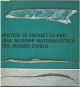 Ipotesi di progetto per una sezione naturalistica del museo civico 