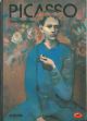  Picasso 