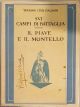 Sui campi di battaglia - Il Piave e il Montello. Guida storico-turistica