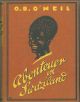 Abenteuer in Swaziland. Erlebnisse eines südafrikanischen Buren        