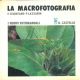 La macrofotografia 