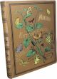 Museo entomologico. Le farfalle: storia naturale, classificazione ed iconografia dei principali lepidotteri d'Italia e dei paesi circonvicini 