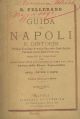 Guida di Napoli e dintorni. Pompei, Ercolano, Vesuvio, Sorrento, Capri, Ischia, Pozzuoli, Cuma, Baia, Pesto, Ecc. Dedicata ai viaggiatori che amano veder tutto con economia di tempo e di spesa. Adorna delle piante topografiche di Napoli, dintorni e Pompei