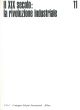 Il XIX secolo. La rivoluzione industriale. I protagonisti della storia universale, n. 11 