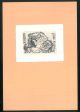 Ex libris di Pepita Pallé inciso da Vachier