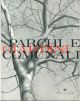 Parchi e giardini comunali 