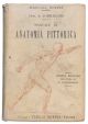 Manuale di anatomia pittorica